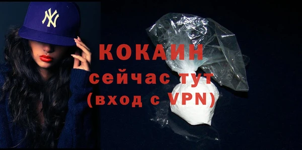 шишки Армянск