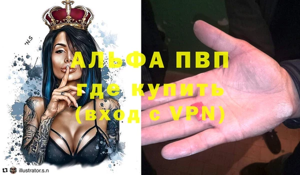 шишки Армянск