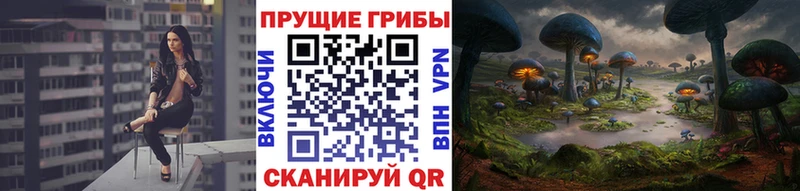 МЕГА ONION  Николаевск-на-Амуре  Псилоцибиновые грибы мухоморы 