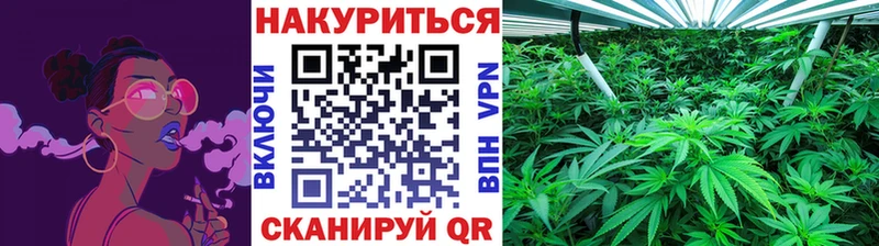 Бошки марихуана гибрид  мега зеркало  Николаевск-на-Амуре 